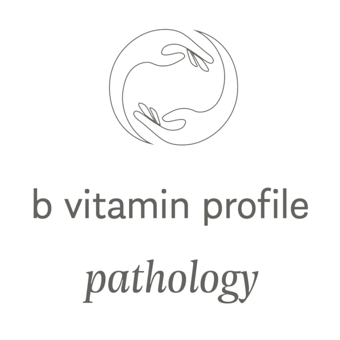 b-vitamin-profile-elderi
