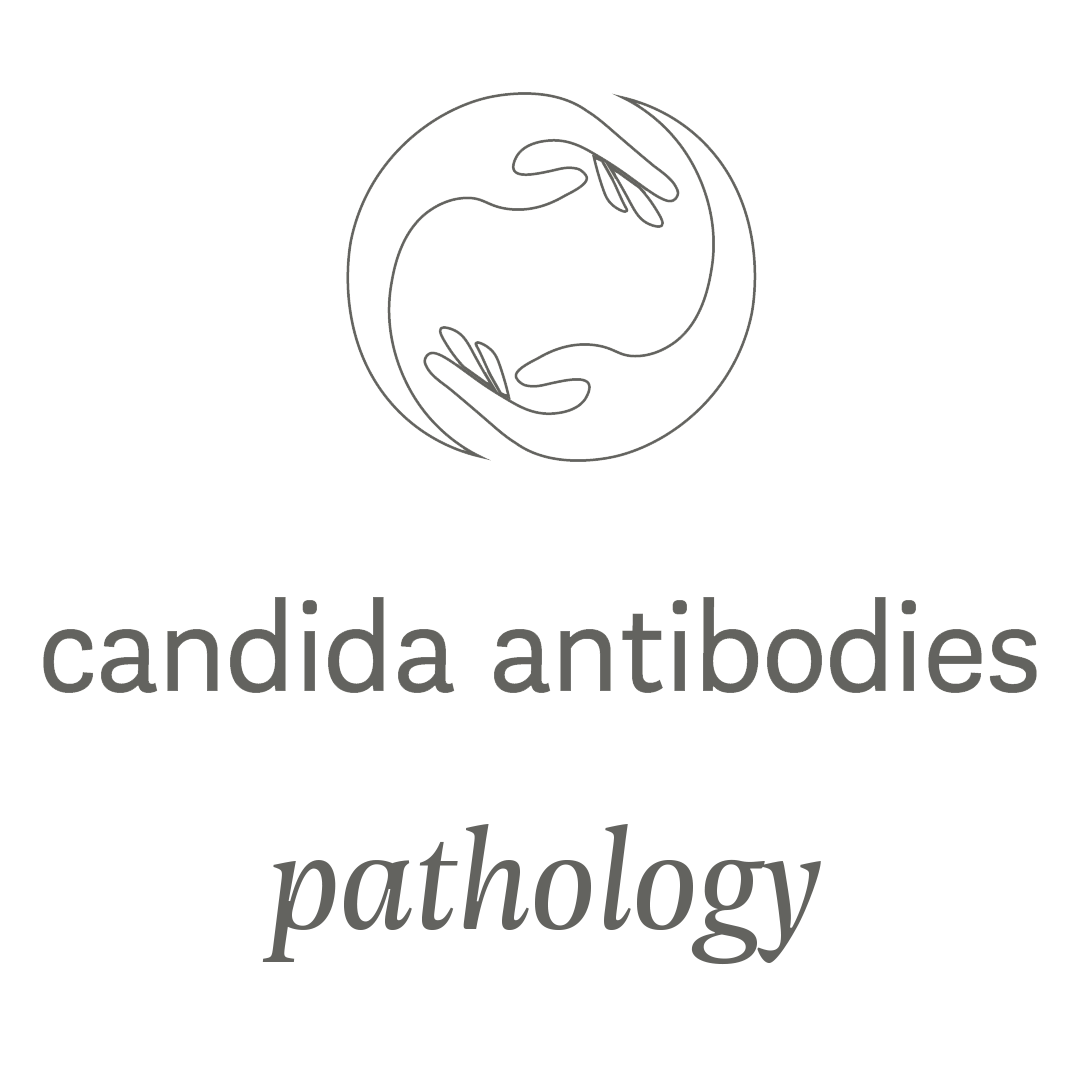 Candida antibodies profile elderi