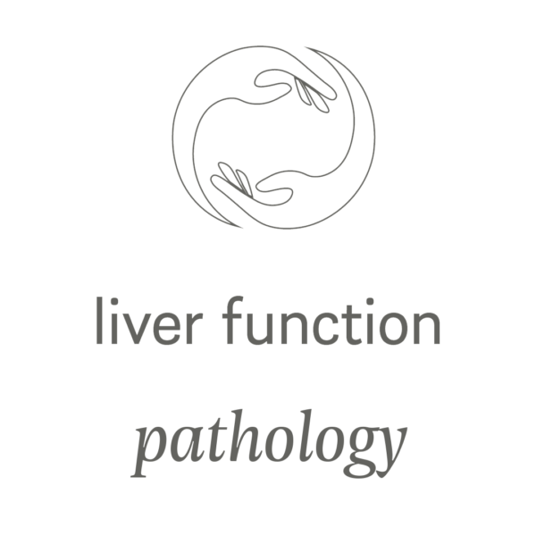 liver-function-elderi